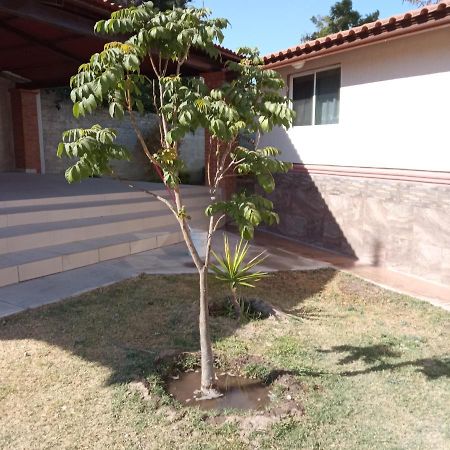 Quinta Los Arcos Villa Celaya  Exteriör bild