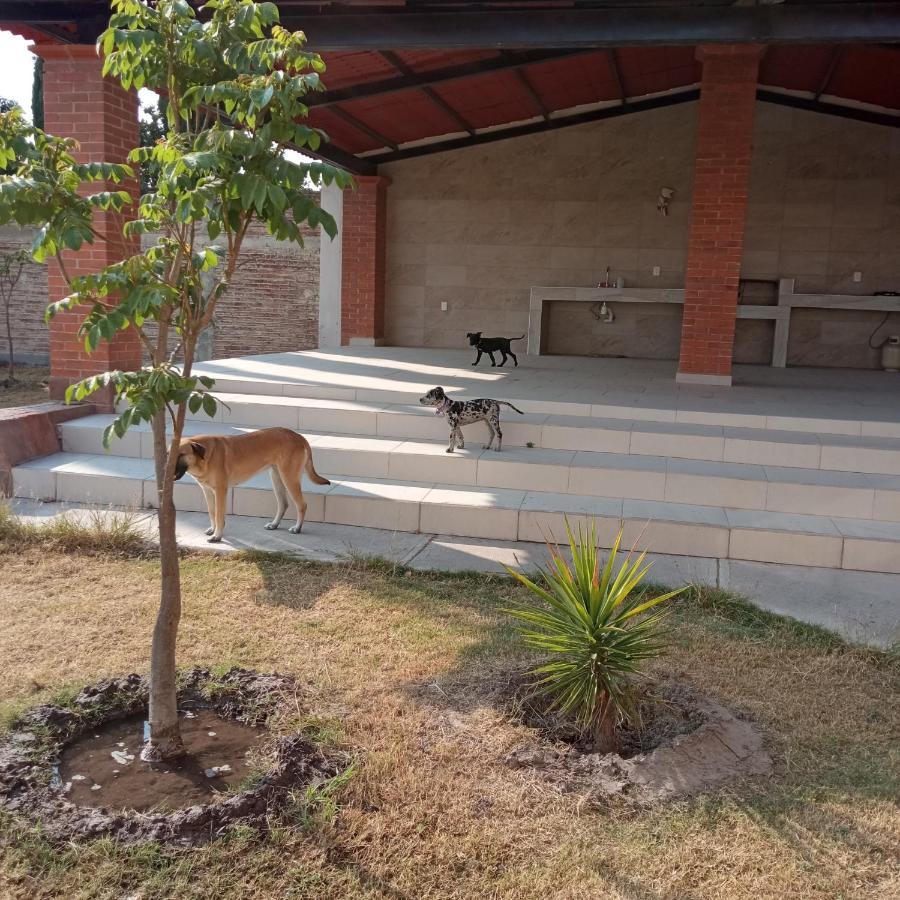 Quinta Los Arcos Villa Celaya  Exteriör bild
