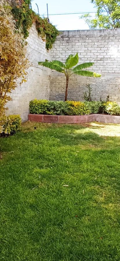 Quinta Los Arcos Villa Celaya  Exteriör bild